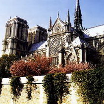 Готическая архитектура Собор Нотр-Дам в Париже