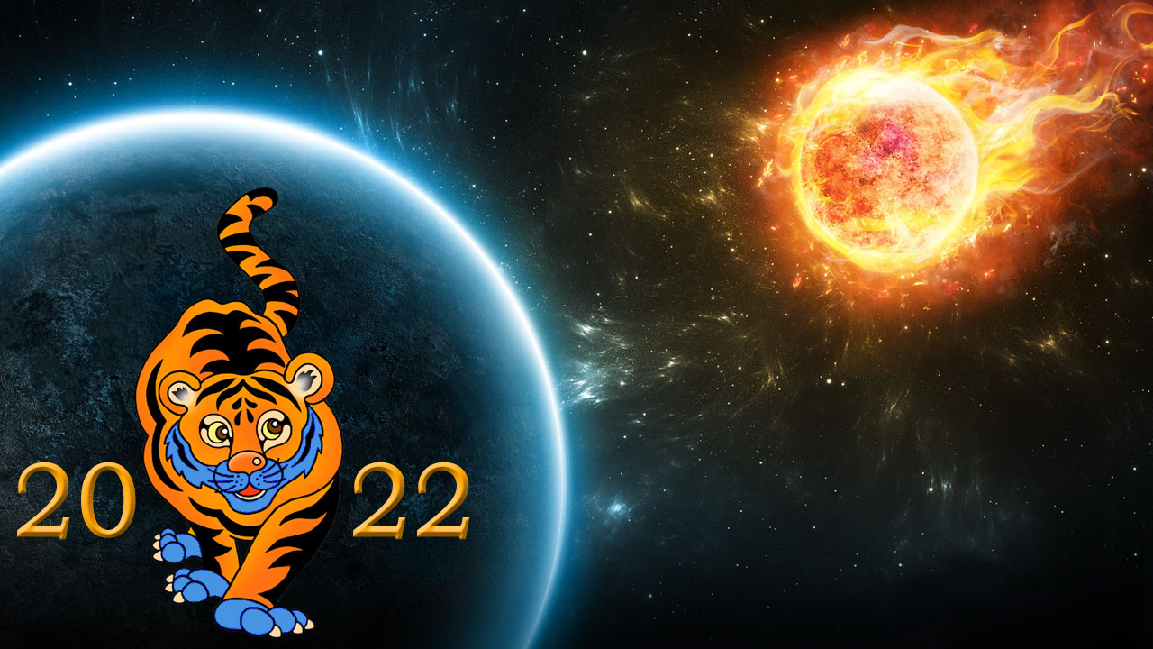 Синий Водяной Тигр 2022 год